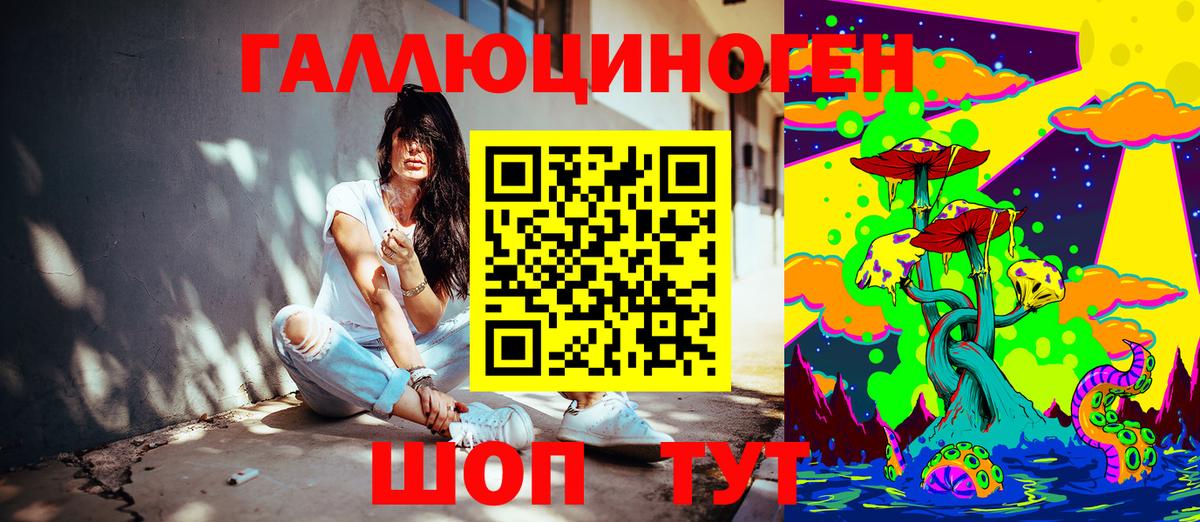 Псилоцибиновые грибы мицелий  Псилоцибиновые грибы Psilocybe  Гусев  Вход с VPN 
