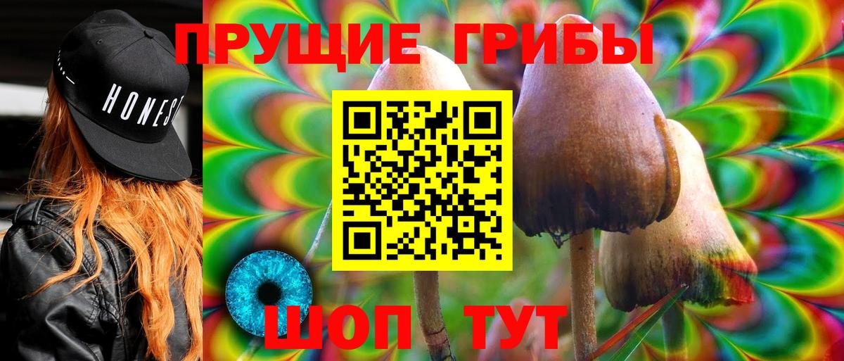 Галлюциногенные грибы мицелий Гусев